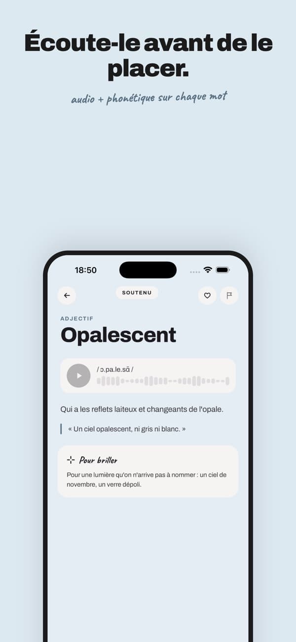 IpsoVerbo, visuel App Store n°3